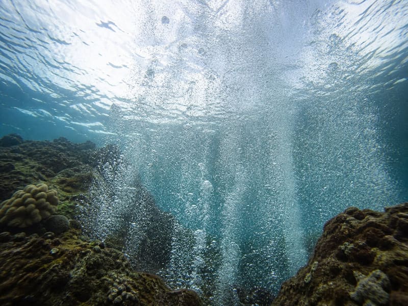 Columns of volcanic gas bubbles rising through the reef at Champagne, Dominica, shot from below toward the surface.