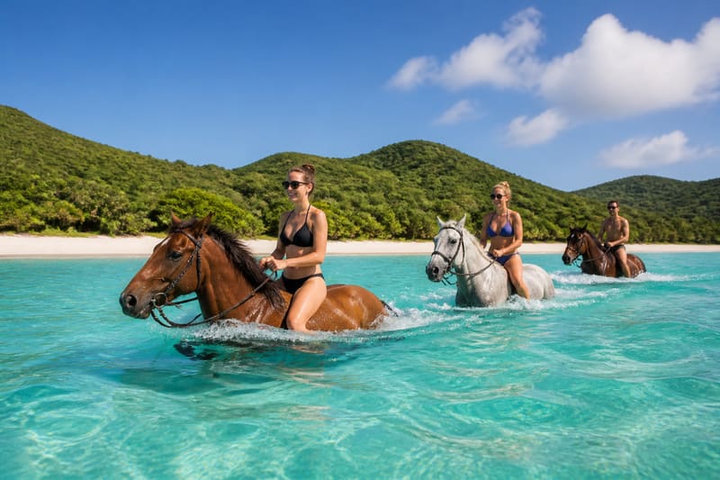 Horses swimming chest-deep in clear turquoise water with their riders still on them.