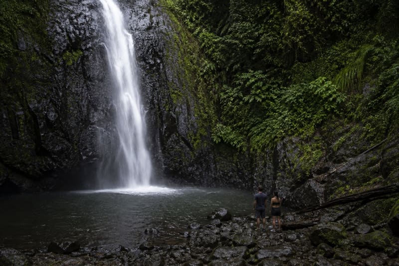 A tall waterfall in the Dominica rainforest with two people at the plunge pool for scale.
