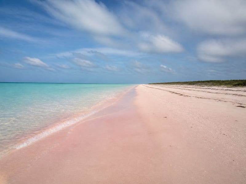 An empty pink-sand beach on Barbuda running dead straight to the horizon.