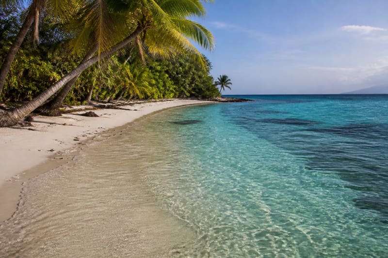 An empty curving white beach on an uninhabited Grenadines island, palms leaning over clear shallows.