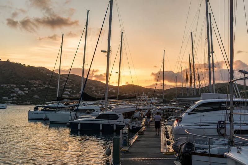 The marina at Le Marin, Martinique, in the evening: rows of moored catamarans, masts against a warm sky.
