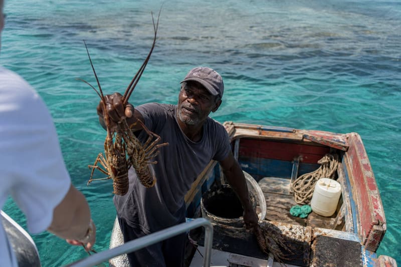 A fisherman alongside in a small open boat holding up lobsters to sell, the reef behind him.