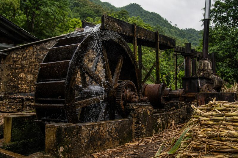 An old wooden and iron water wheel turning at a working Caribbean rum distillery, cut cane stacked beside it.