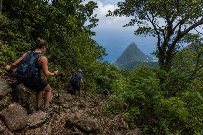 Walkers on a steep rooted trail near the summit of a volcanic peak, the sea far below through the trees.